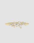 Starlight Cluster Moissanite Ring